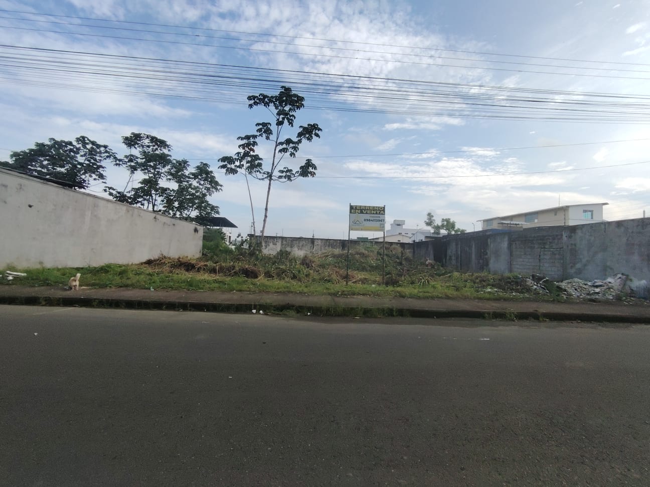 img-property