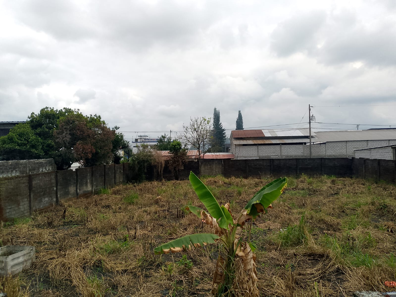 img-property
