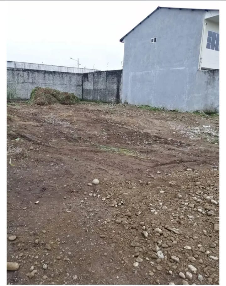 img-property