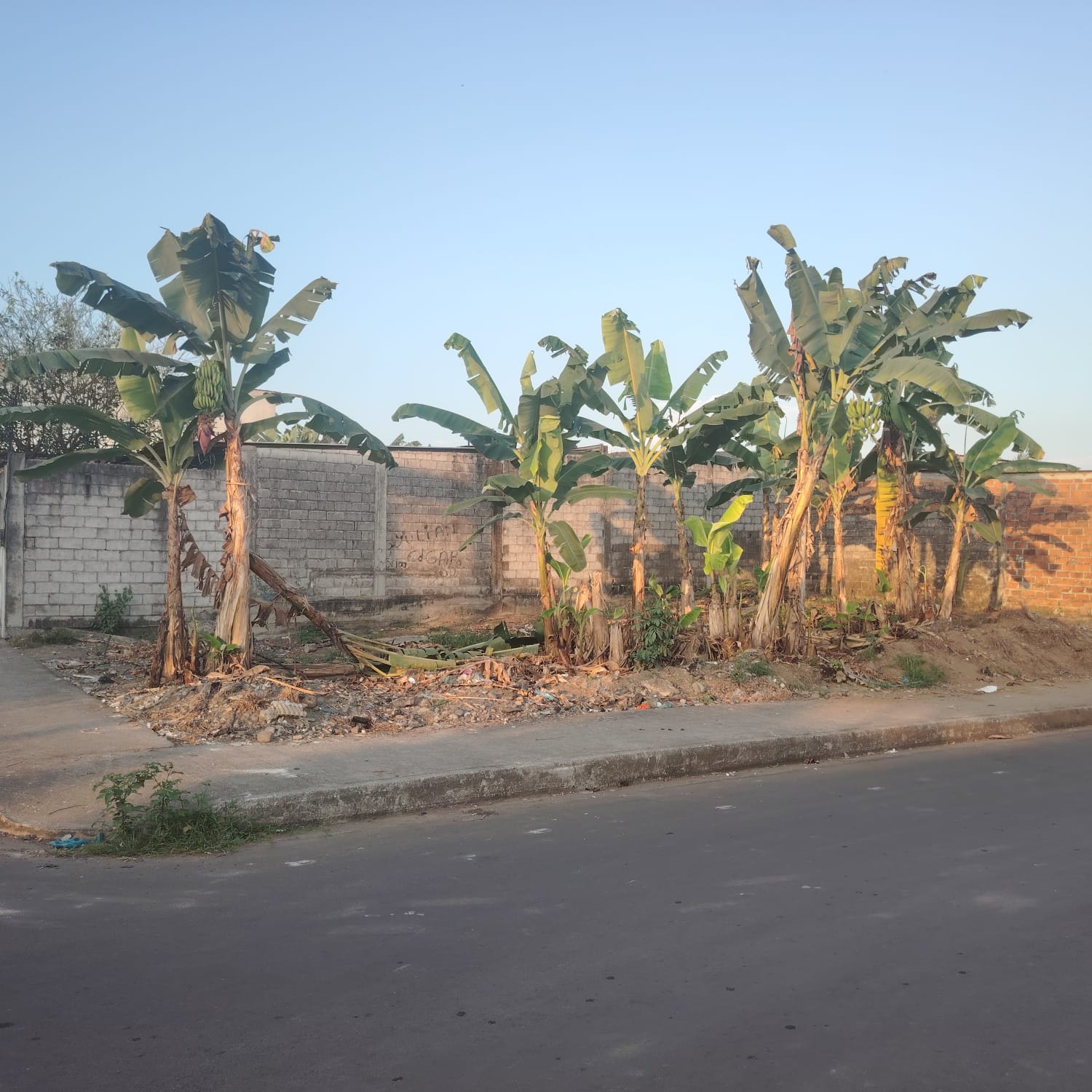 img-property