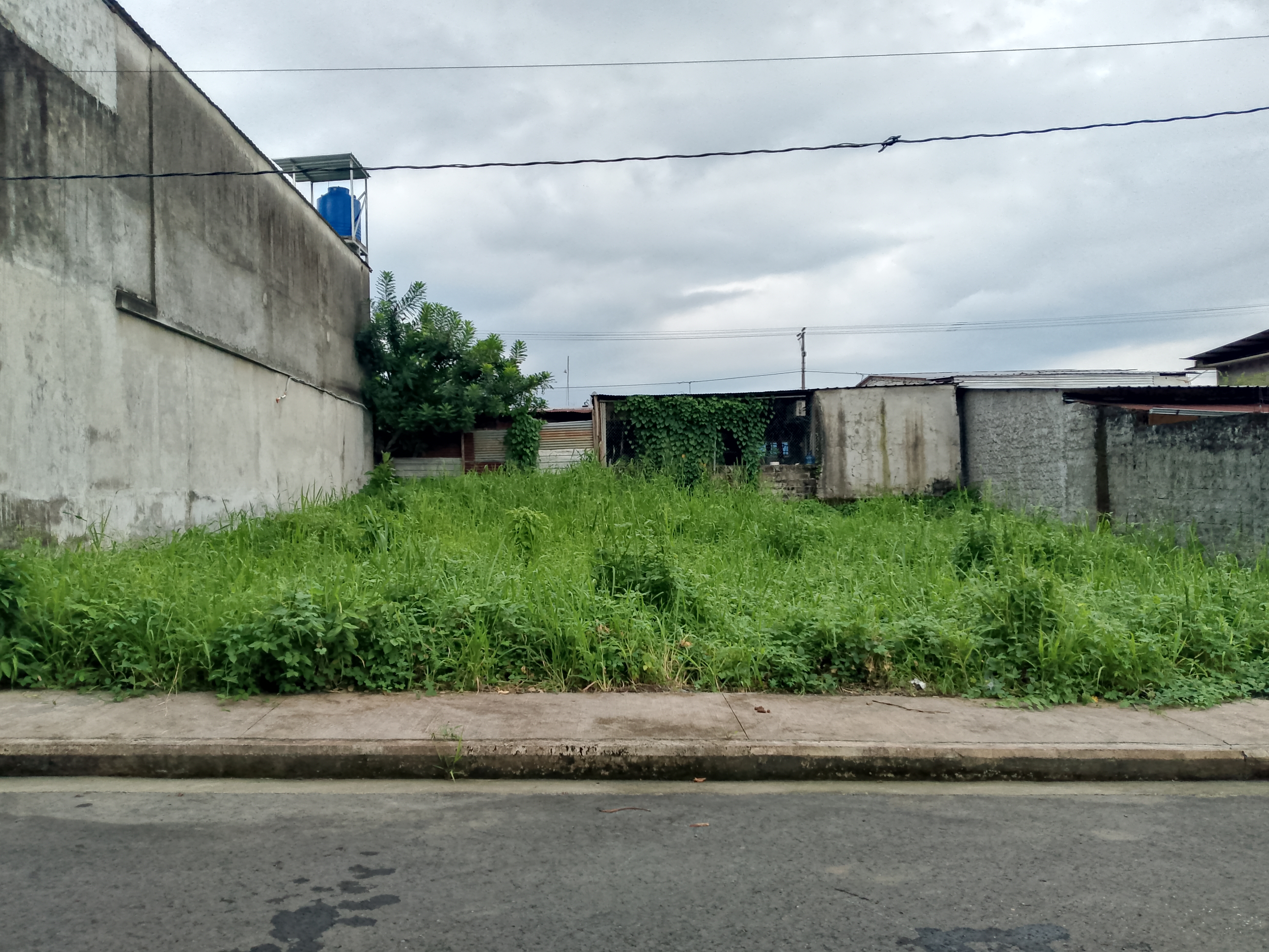 img-property