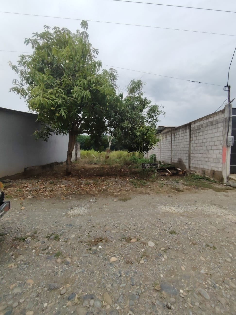 img-property
