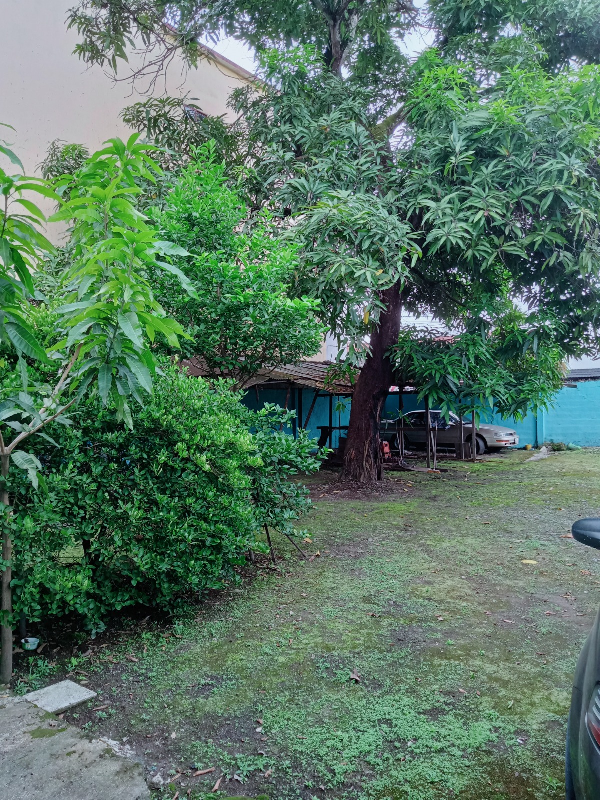 img-property