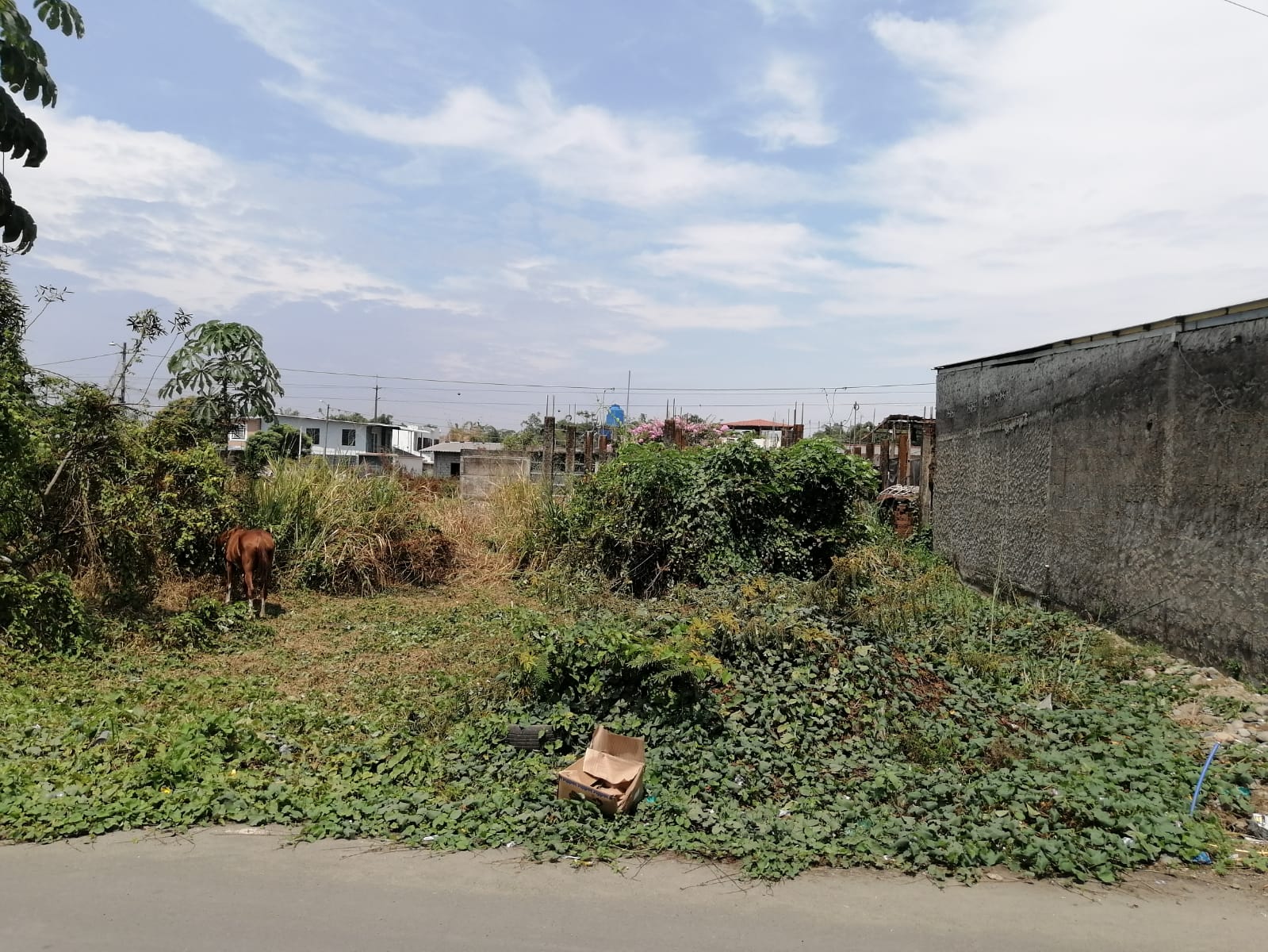 img-property