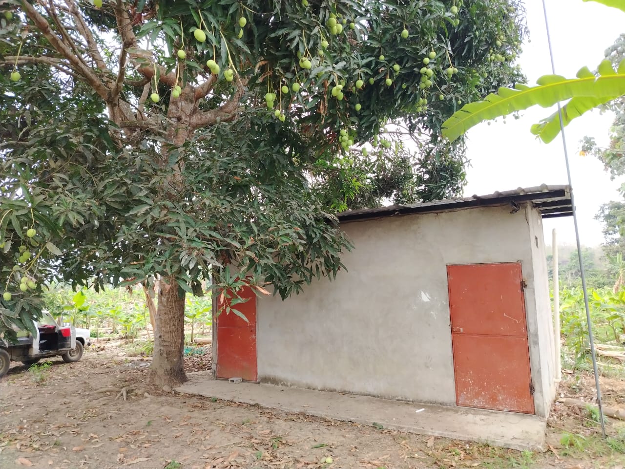 img-property