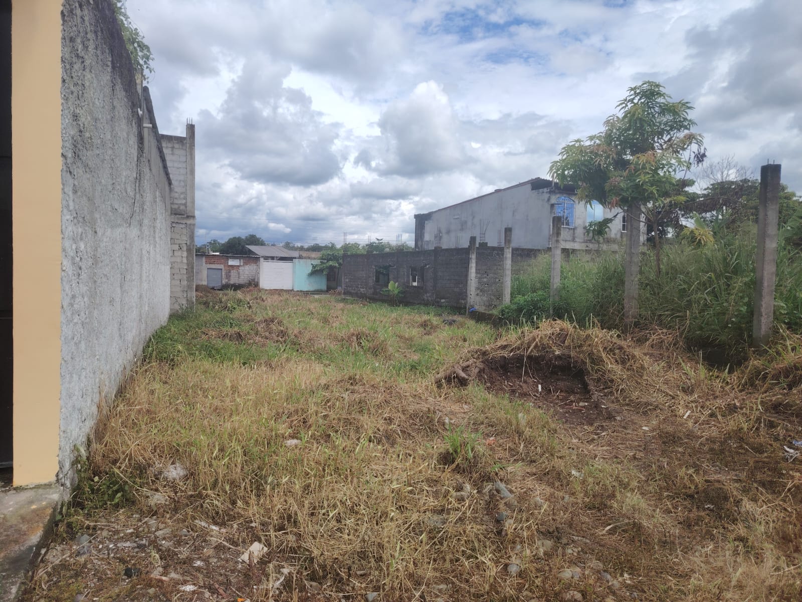 img-property