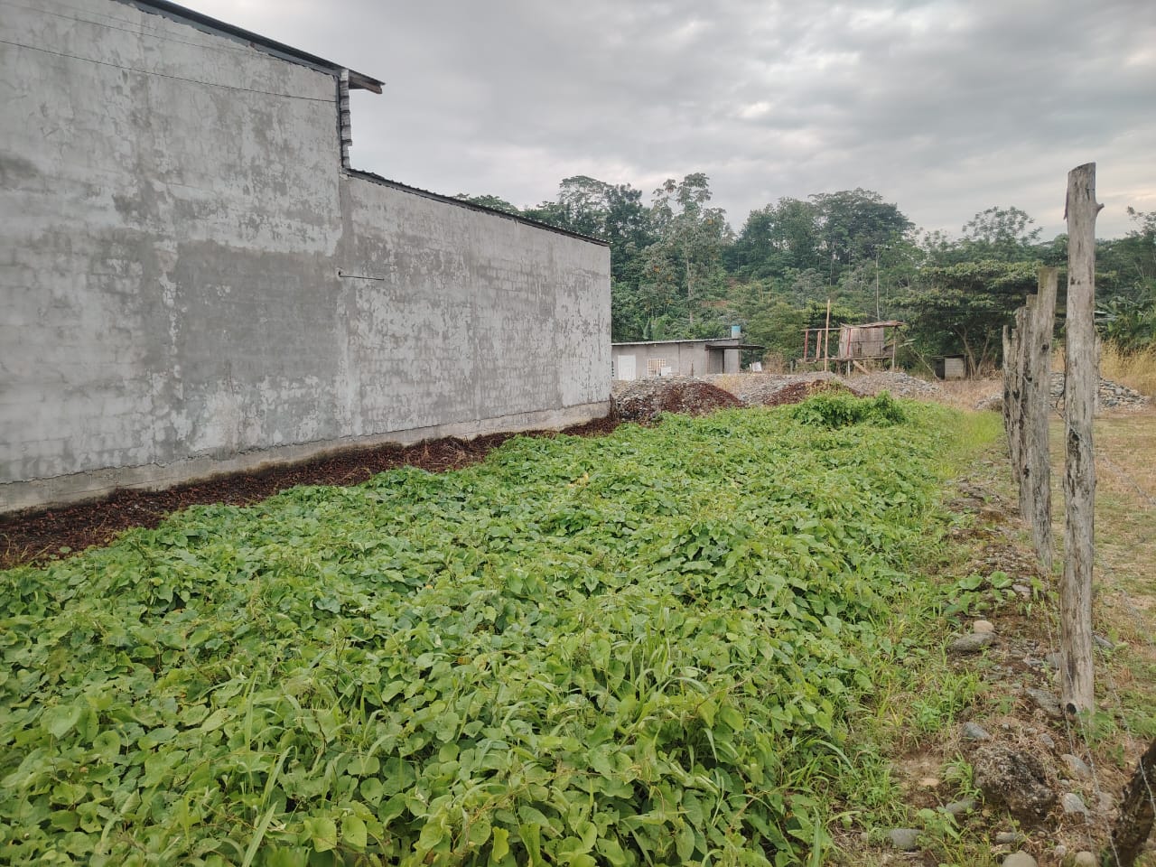 img-property
