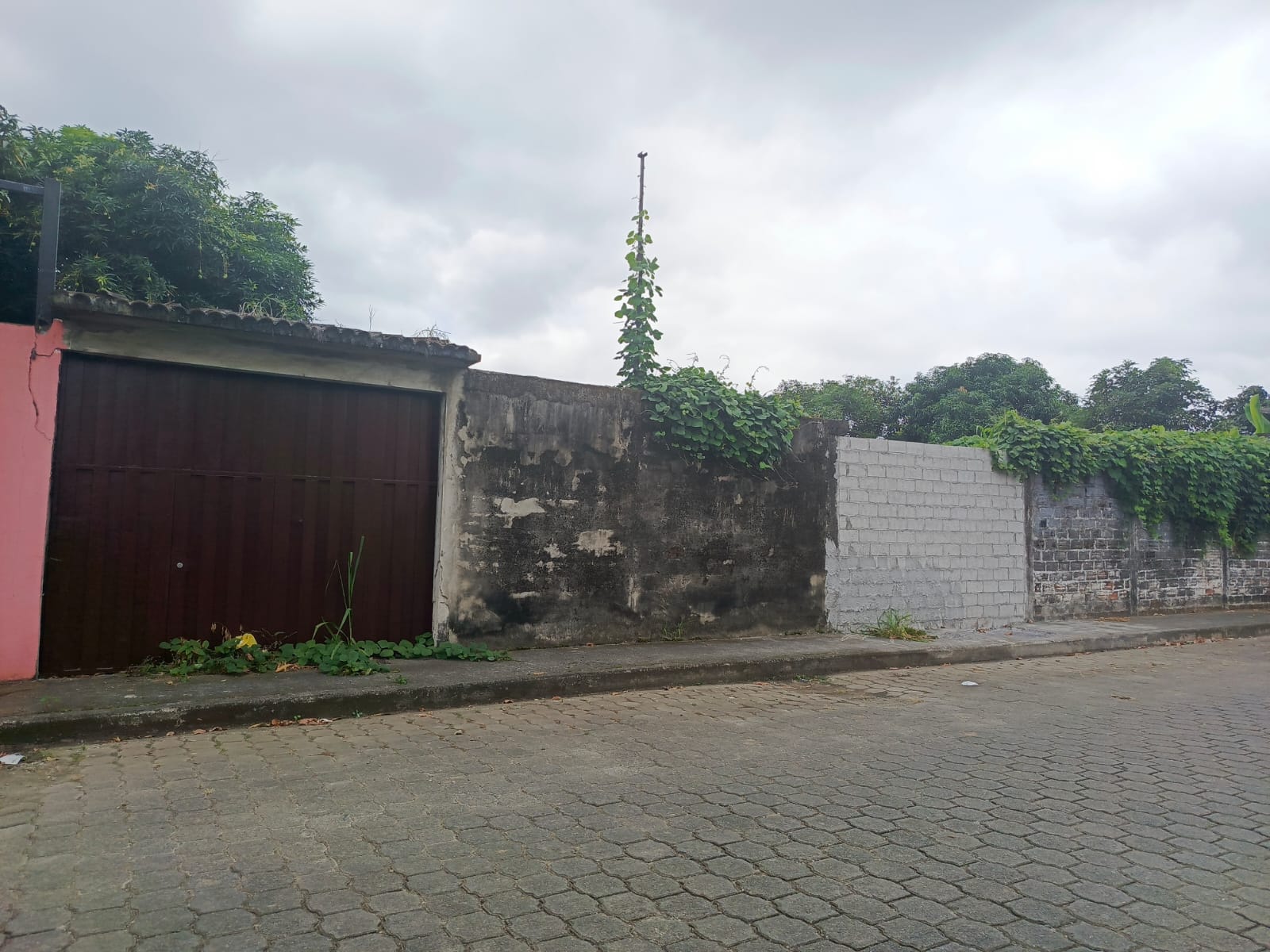 img-property