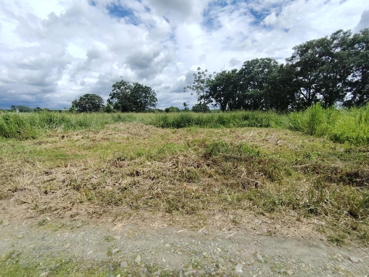 img-property